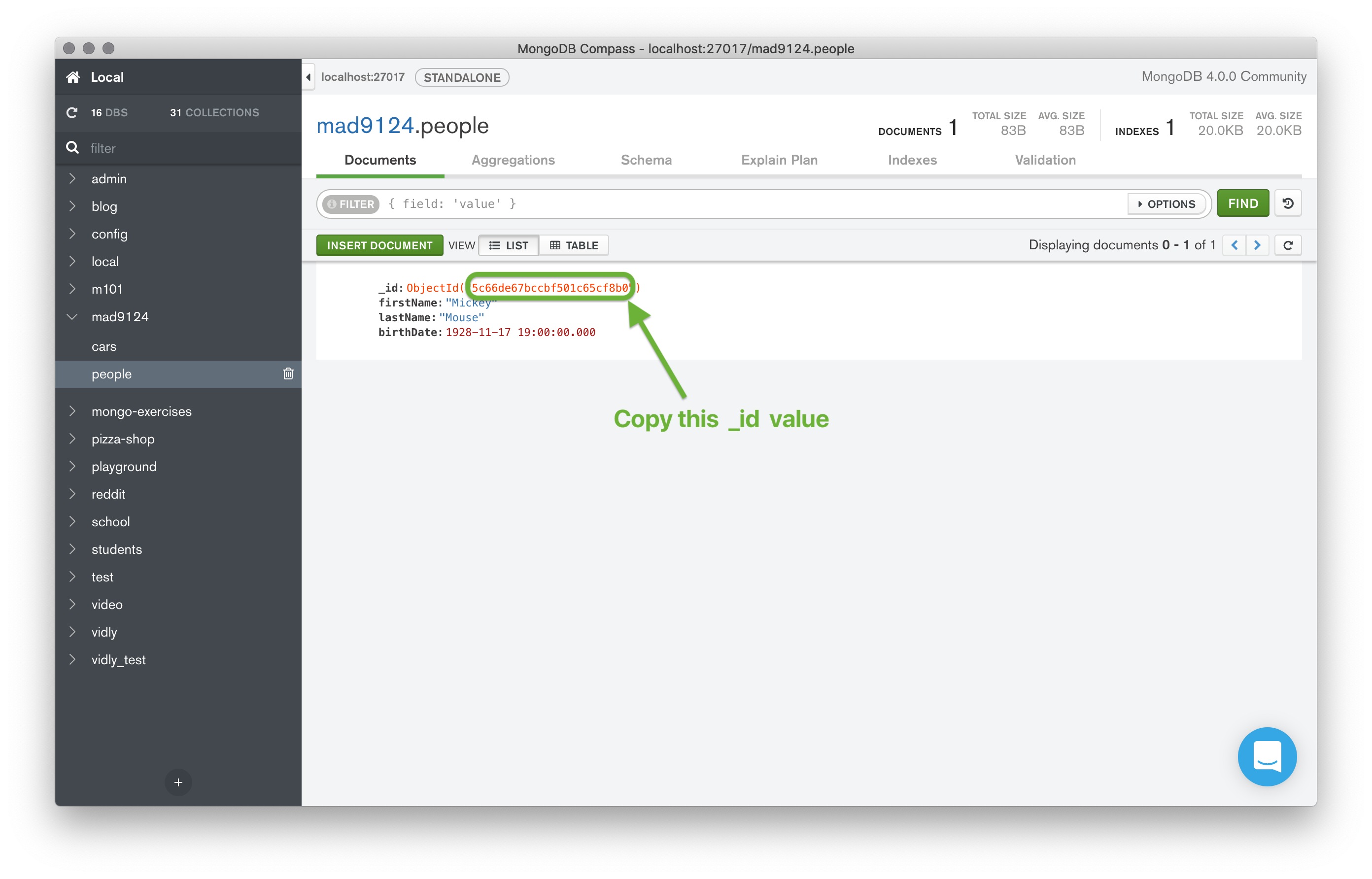 screenshot of MongoDB compass